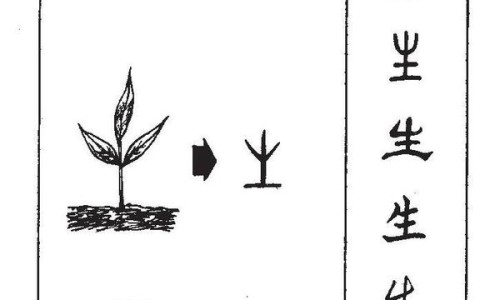 萝卜和芒果的吃法大全图解-萝卜和芒果的吃法大全网- 萝卜和芒果的吃法大全图片知识,分享萝卜和芒果能一块吃吗